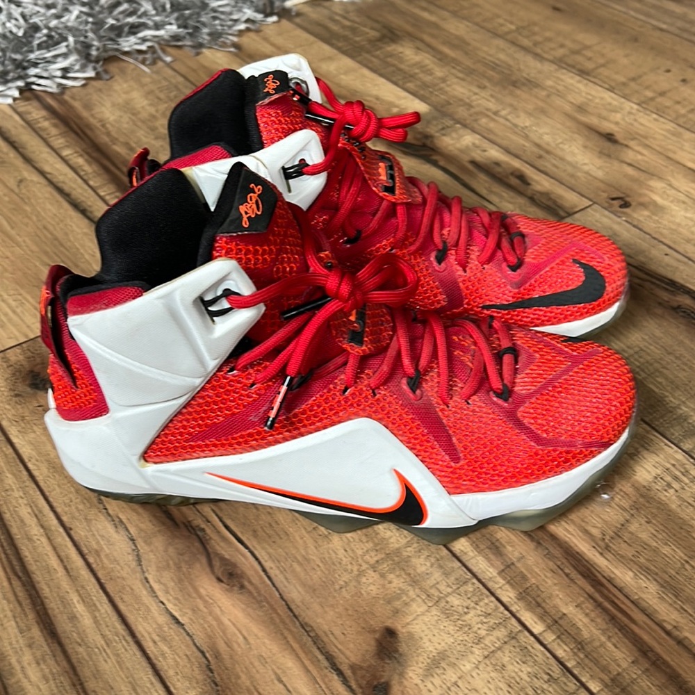 PRICE DROP 🛑🛑Lebron 12 “Heart of A Lion”